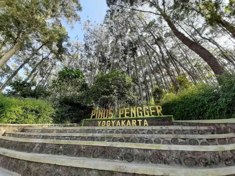 Jalur masuk Hutan Pinus Pengger